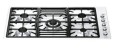 PGF95-4 